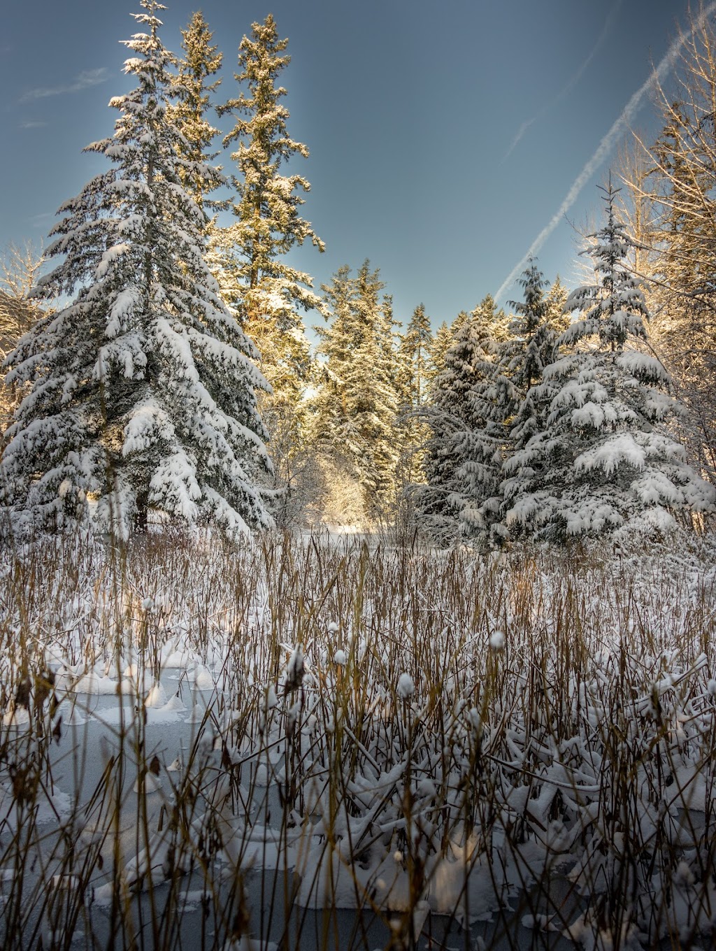 Lake Killarney Open Space Park | 34902 Weyerhaeuser Way S, Federal Way, WA 98003, USA | Phone: (253) 835-6901