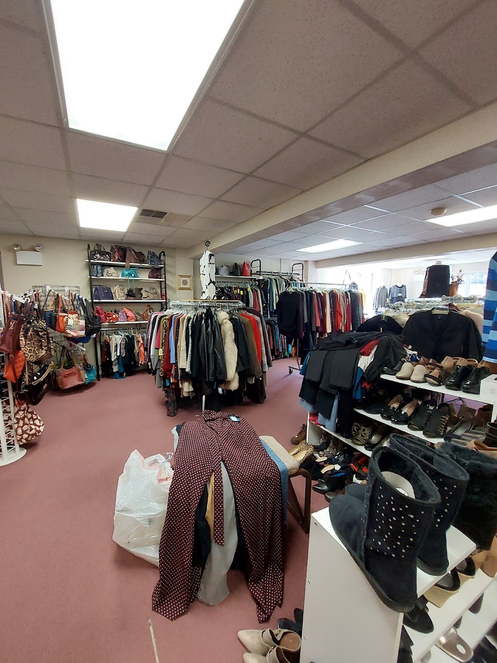 Your Best Friends Closet | 1821 Lincoln Way, White Oak, PA 15131, USA | Phone: (412) 754-1234