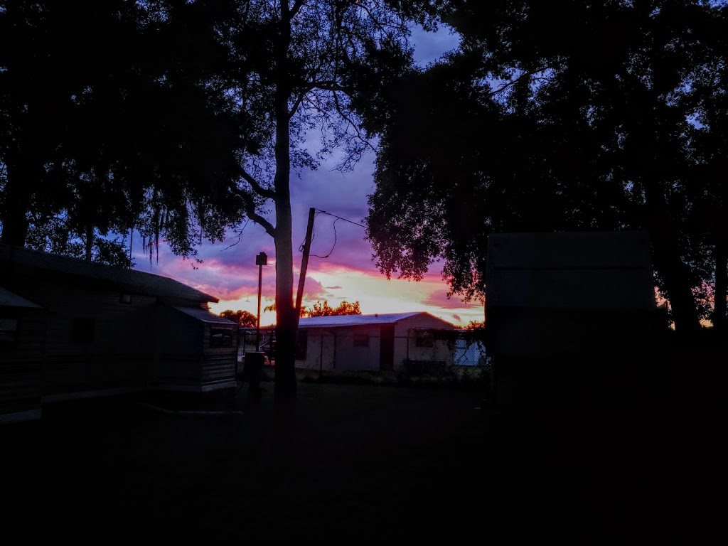 Magnolia Trace RV Park | 5824 23rd St, Zephyrhills, FL 33542, USA | Phone: (813) 779-3184