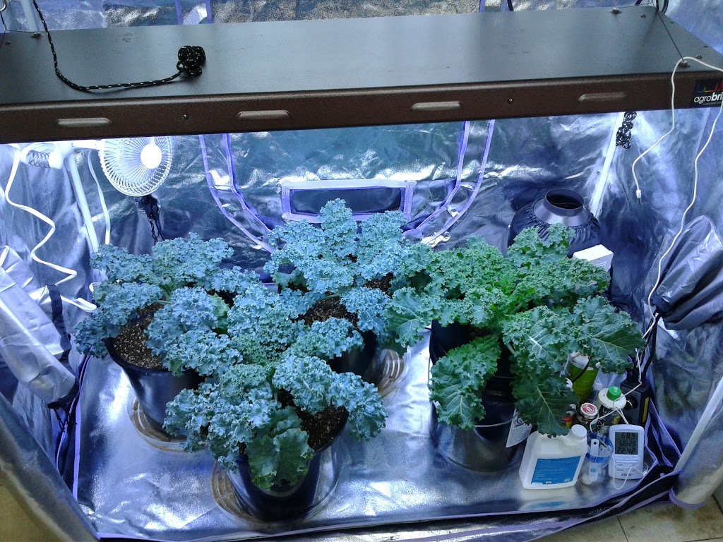 Harvest Moon Hydroponics | 29 Washington St, Foxborough, MA 02035 | Phone: (508) 660-6966