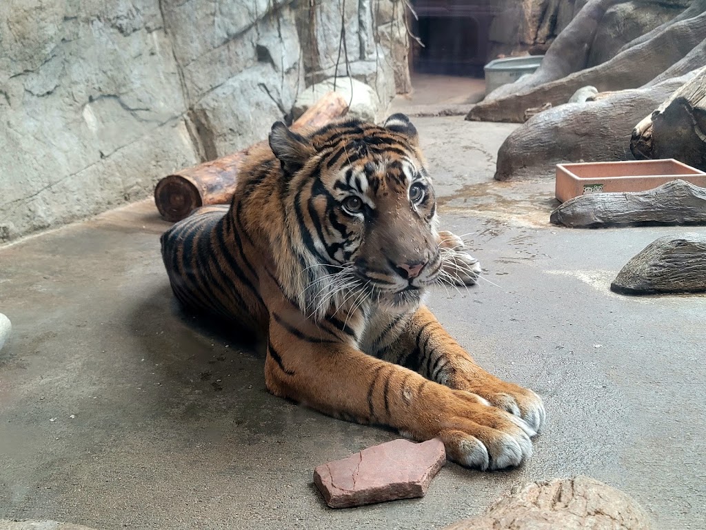 Downtown Aquarium | 700 Water St, Denver, CO 80211, USA | Phone: (303) 561-4450