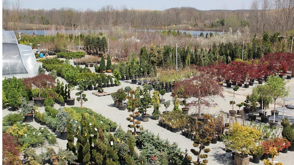 Laurel Nursery/Garden Center | 3648 US-30, Latrobe, PA 15650, USA | Phone: (724) 539-7022