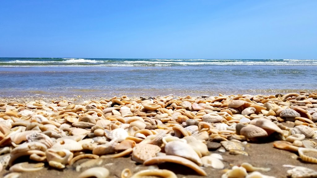 Padre Island National Seashore | 20301 Park Rd 22, Corpus Christi, TX 78418, USA | Phone: (361) 949-8069