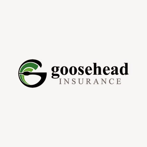 Goosehead Insurance - Dan Wilkerson | 106 S Harris St, Round Rock, TX 78664, USA | Phone: (512) 934-8711