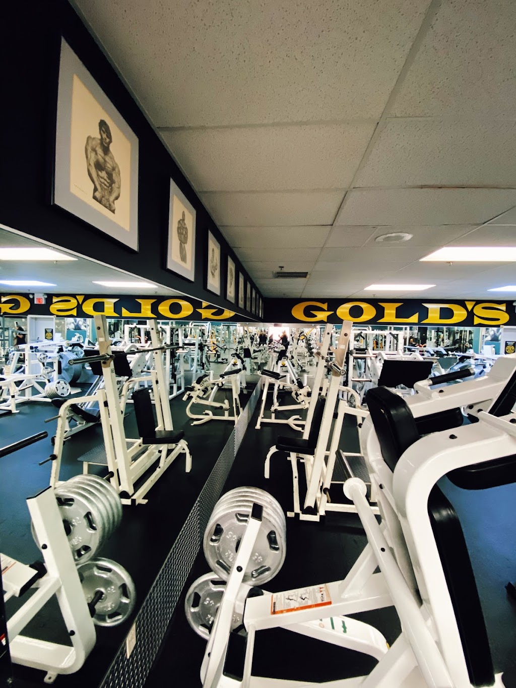 Golds Gym | 462 NJ-28, Bridgewater, NJ 08807, USA | Phone: (908) 595-1111