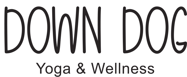 Down Dog Yoga & Wellness | 3140 NC-16 Business #105, Denver, NC 28037, USA | Phone: (980) 389-9569