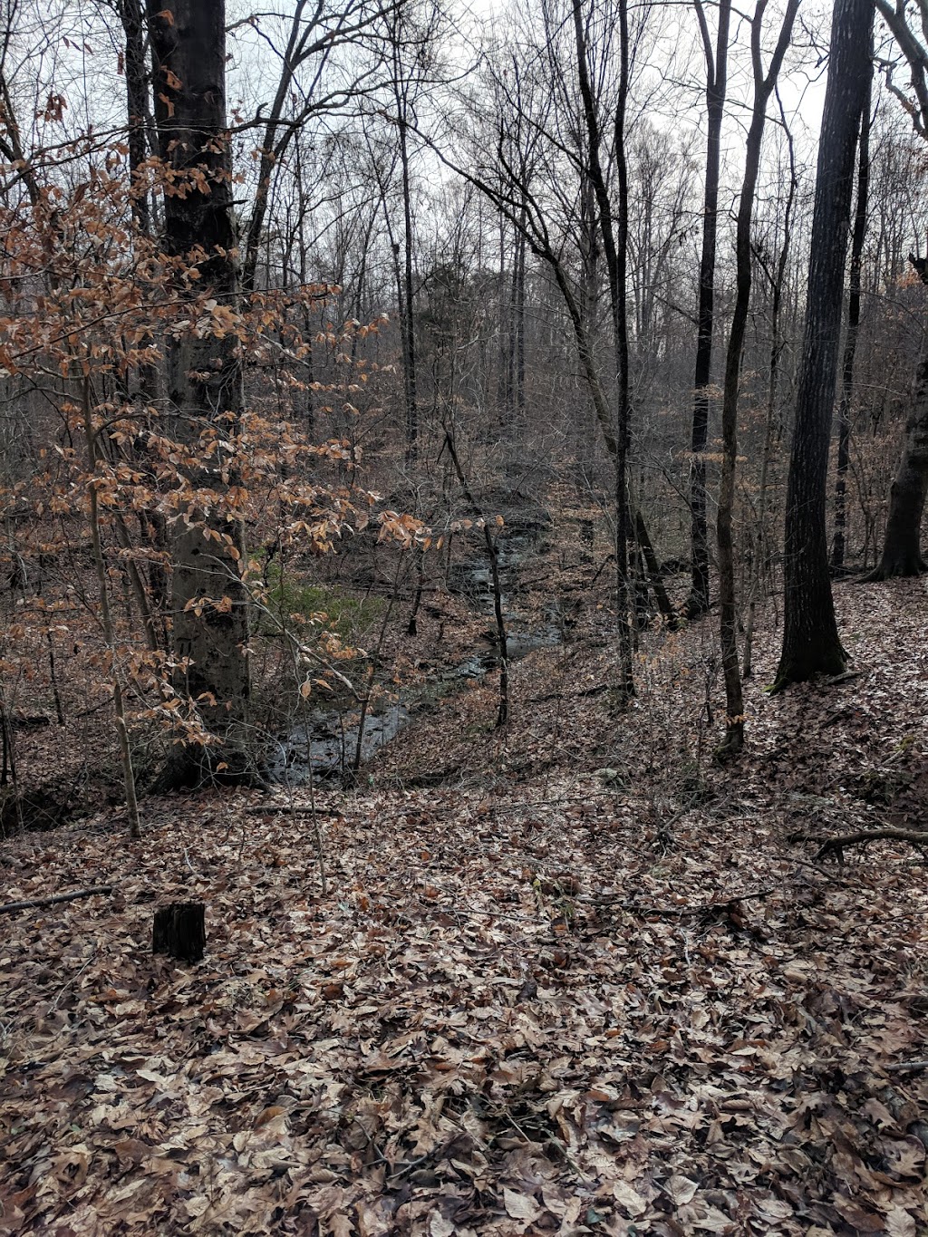 Town and Country Nature Park | 2999 Regent Park Ln, Burlington, NC 27217, USA | Phone: (336) 222-5030
