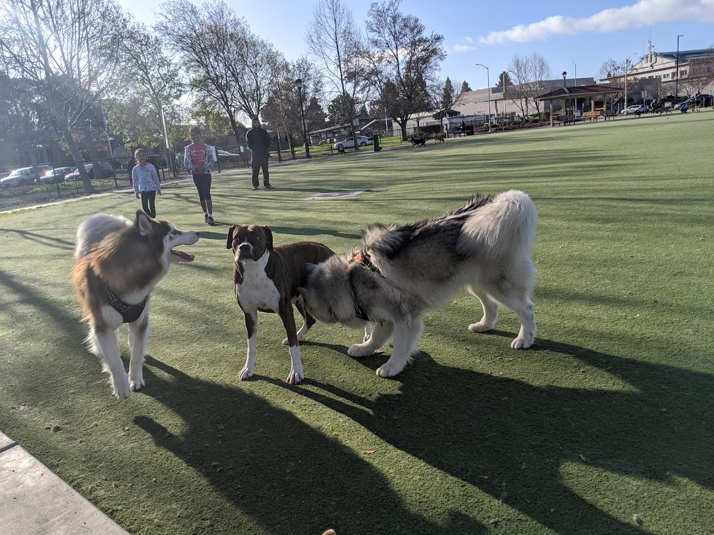 Central Park Dog Park | 1740 Stevenson Blvd, Fremont, CA 94538, USA | Phone: (510) 790-5541