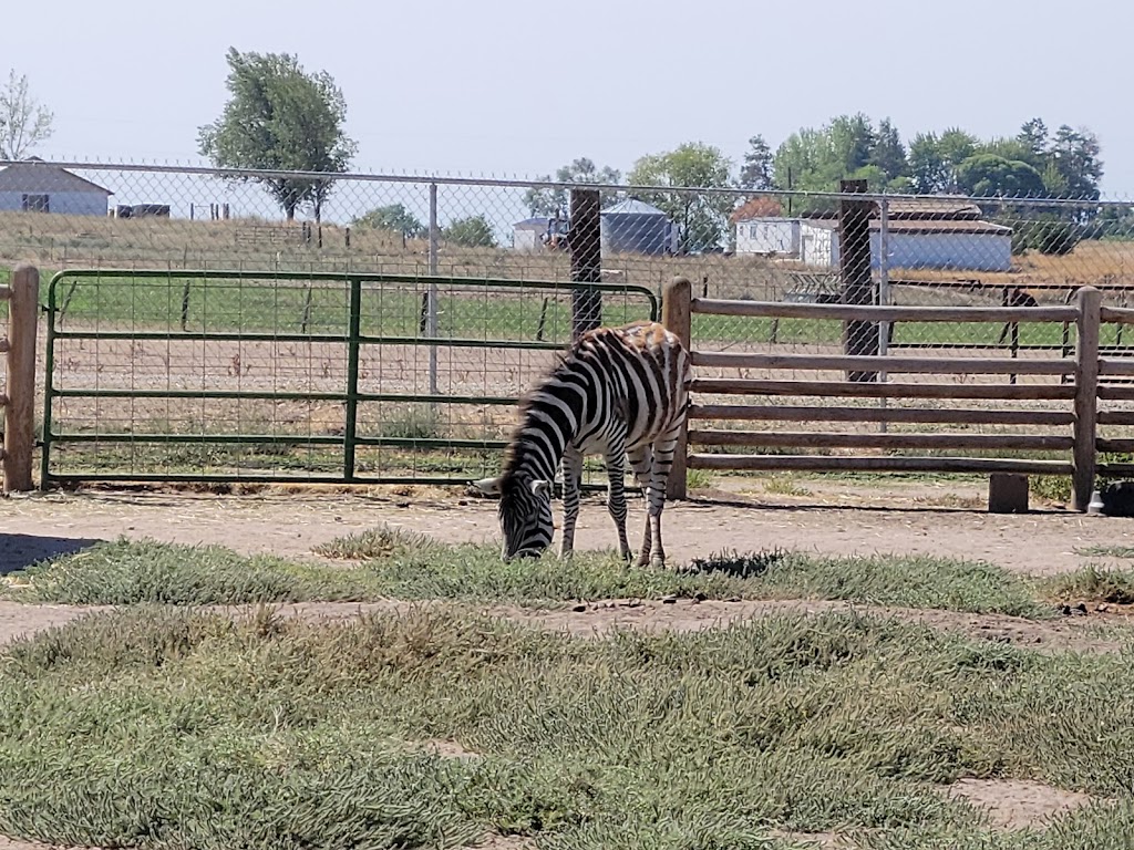 Babby Farms | 5900 El Paso Rd, Caldwell, ID 83607, USA | Phone: (208) 455-4487