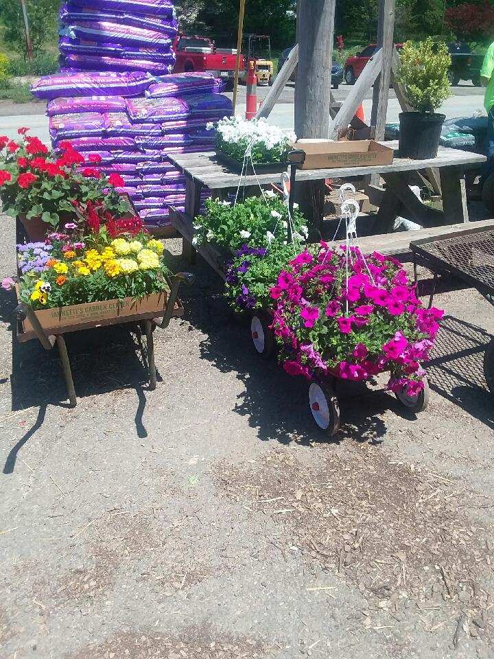 Iannettis Garden Center | 728 Steubenville Pike, Burgettstown, PA 15021, USA | Phone: (724) 729-3500