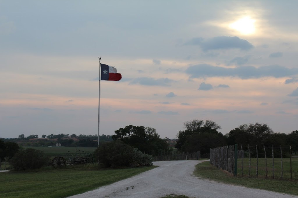 Brazos Equine Services | 5255 New Tin Top Rd, Weatherford, TX 76087, USA | Phone: (817) 988-0651