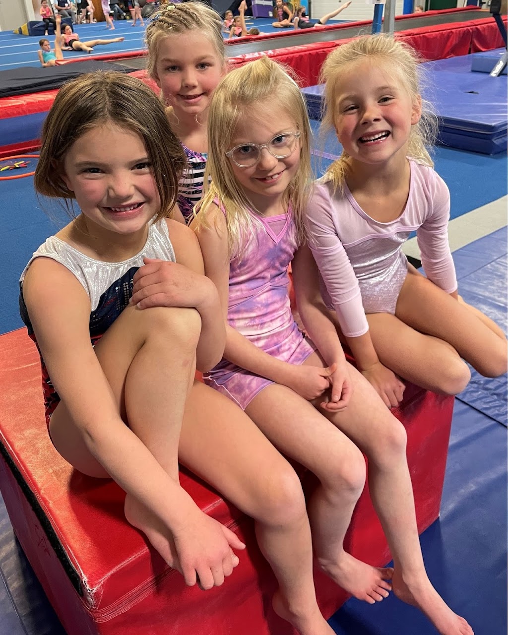 Capital Gymnastics | 1280 John P Livesey Blvd, Verona, WI 53593, USA | Phone: (608) 497-3300