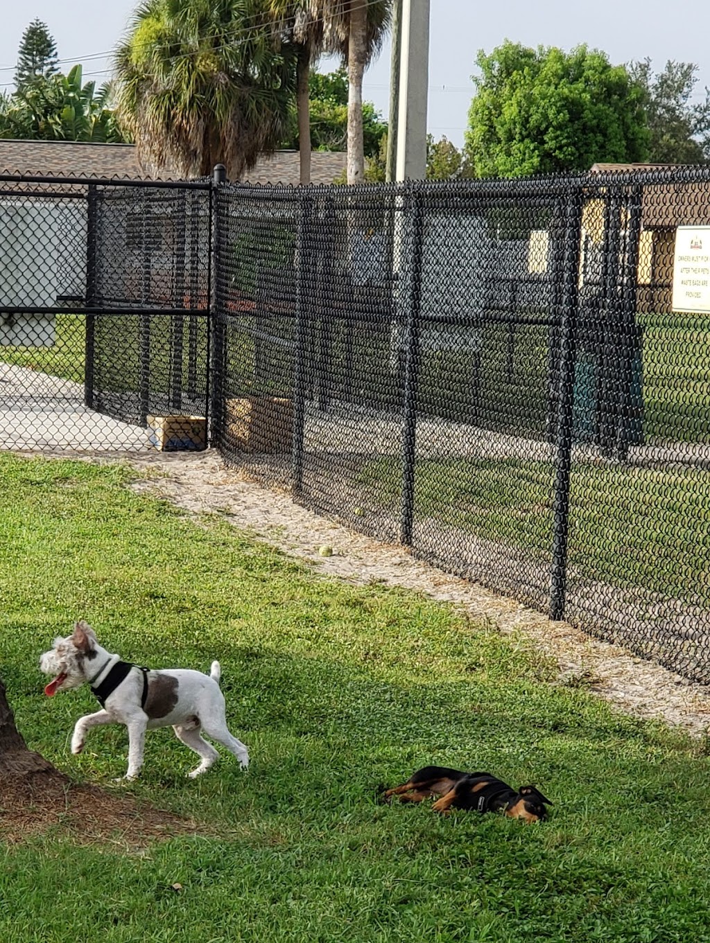 Apollo Beach Dog Park | 664 Golf and Sea Blvd, Apollo Beach, FL 33572, USA | Phone: (813) 671-7635