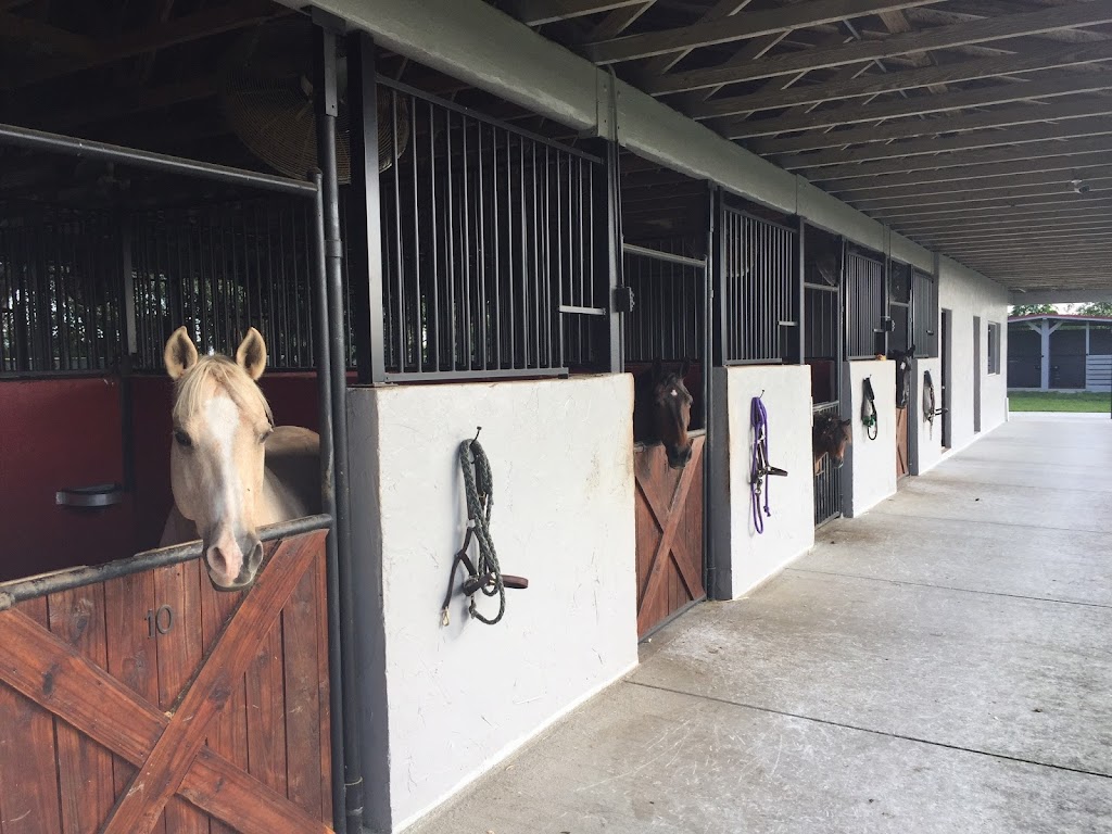 Sport Horse Stables, Corp. | 19525 SW 142nd Ave, Miami, FL 33177, USA | Phone: (305) 360-4104