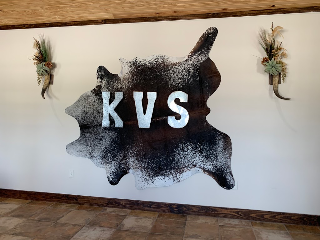 Kingsville Veterinary Services | 2062 Brahma Blvd, Kingsville, TX 78363, USA | Phone: (361) 516-0774