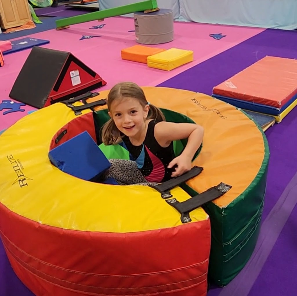 Flex Gymnastics, LLC | 2386 93rd Ave, Osceola, WI 54020, USA | Phone: (715) 661-6690