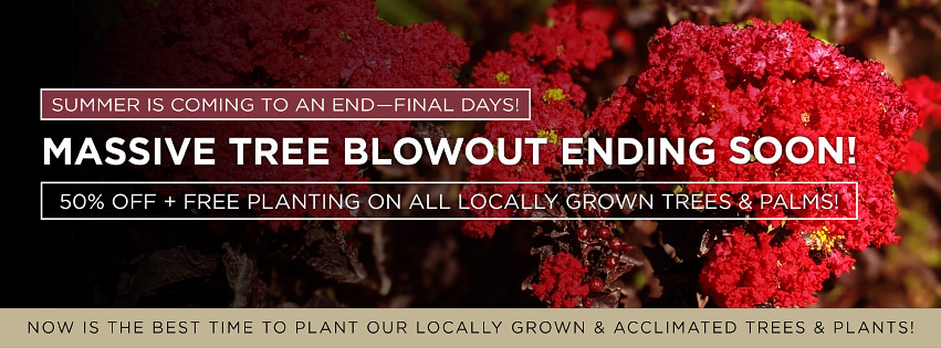 Moon Valley Nurseries | 17715 Amie Ave, Torrance, CA 90504, USA | Phone: (310) 747-3899