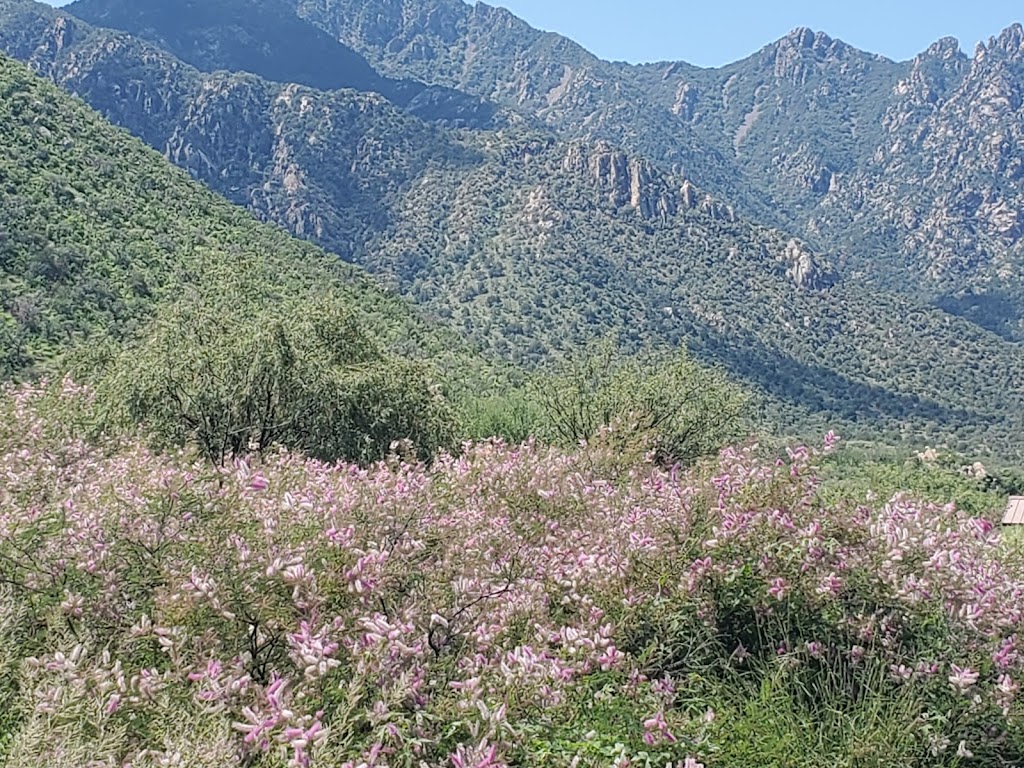 Proctor Parking and Trailhead | S Madera Canyon Rd, Amado, AZ 85645, USA | Phone: (623) 209-4920