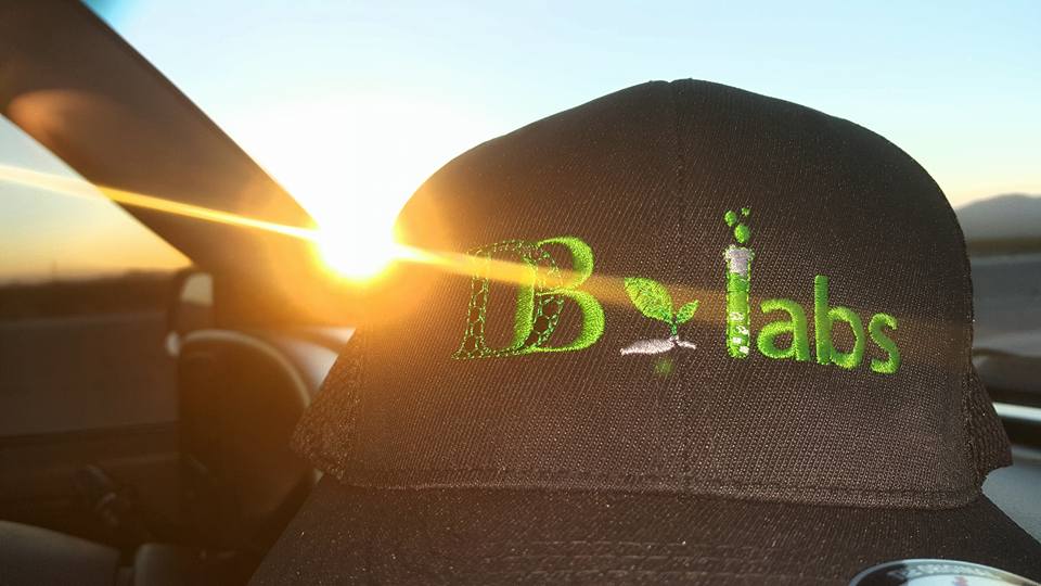 Kaycha Labs Nevada | 4439 Polaris Ave, Las Vegas, NV 89103, USA | Phone: (833) 465-8378