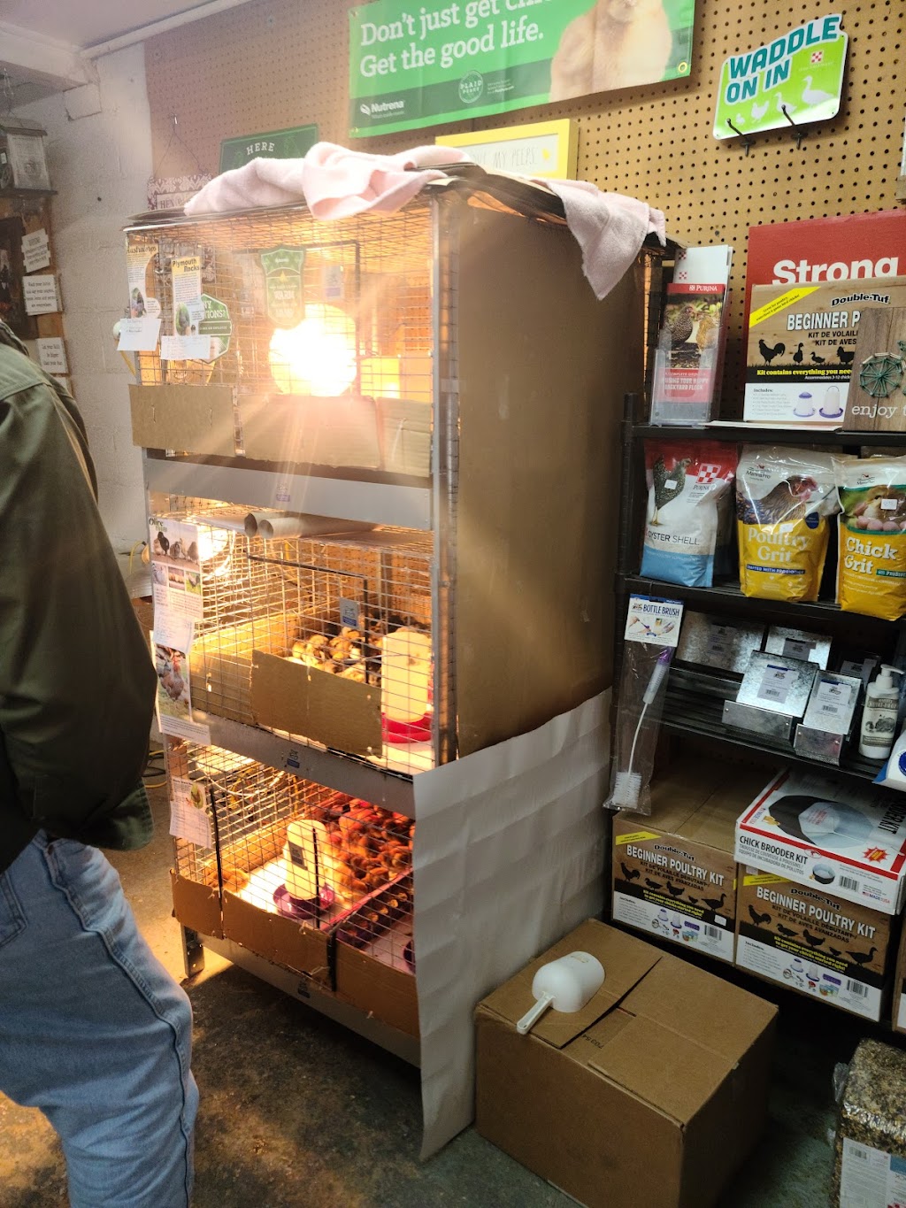 Twin Oaks Feed & Supply | 8501 Kennebec Rd, Willow Spring, NC 27592, USA | Phone: (919) 557-2297