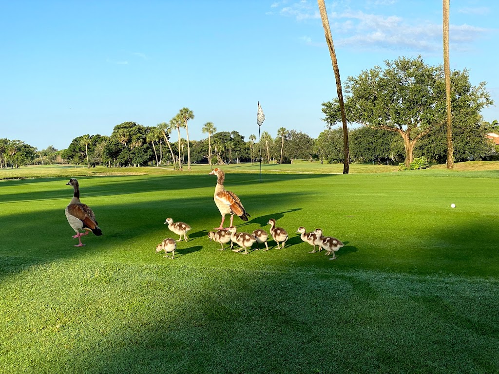 Palm Aire Country Club - Oaks and Cypress Courses - restaurant  | Photo 1 of 10 | Address: 3701 Oaks Clubhouse Dr, Pompano Beach, FL 33069, USA | Phone: (954) 978-1737