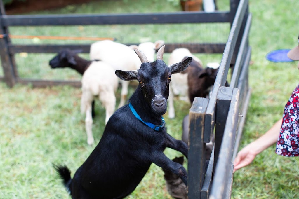 Crickets Mobile Petting Zoo | 3900 Paul Samuel Rd NW, Kennesaw, GA 30152, USA | Phone: (770) 789-1422