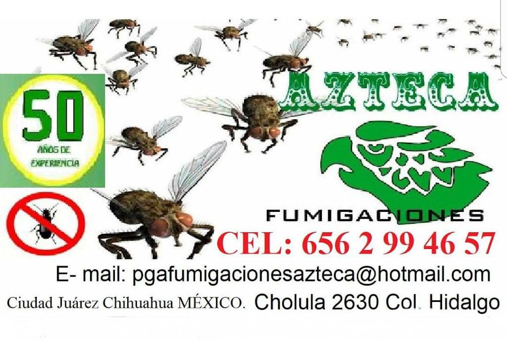 Fumigaciones Azteca | C. Cholula, Hidalgo, 32300 Cd Juárez, Chih., Mexico | Phone: 656 299 4657