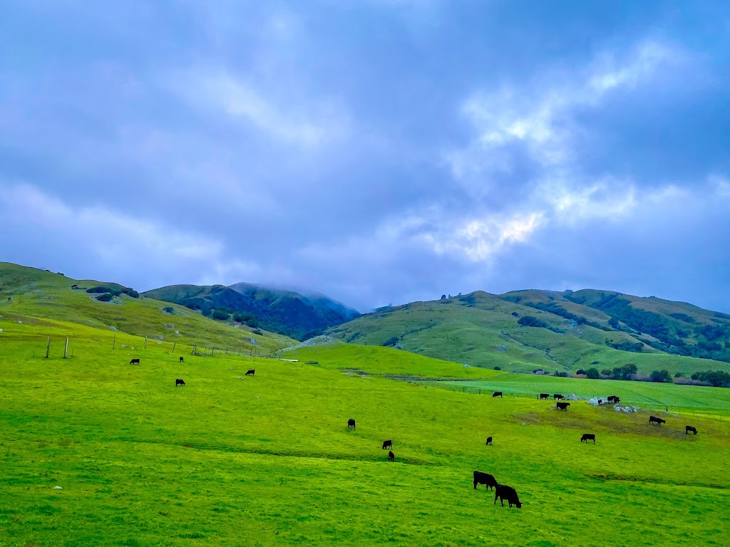 Cow Track Ranch | Nicasio Valley Rd, Nicasio, CA 94946, USA | Phone: (707) 360-7789