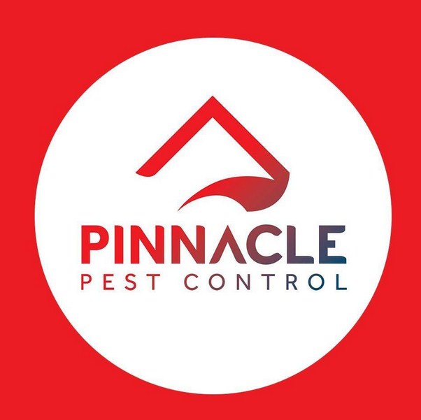Pinnacle Pest Control of Concord | 1320 Willow Pass Rd Ste #600, Concord, CA 94520, United States | Phone: (925) 574-1706