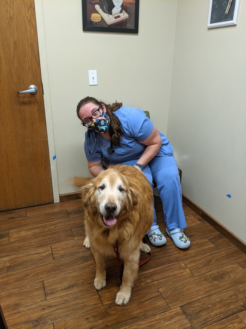 Norton Road Veterinary Hospital | 1111 Norton Rd, Galloway, OH 43119 | Phone: (614) 870-7008