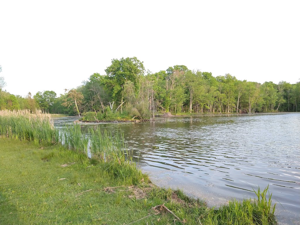 Ann Lee Pond Nature and Historic Preserve | Heritage Ln, Albany, NY 12205, USA | Phone: (518) 765-2055