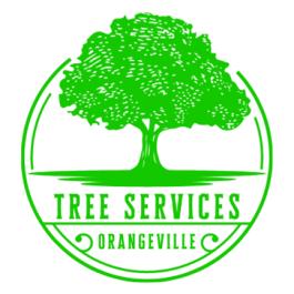 Orangeville Tree Service | 245 Broadway, Orangeville, ON L9W 1K6, Canada | Phone: (226) 455-8286