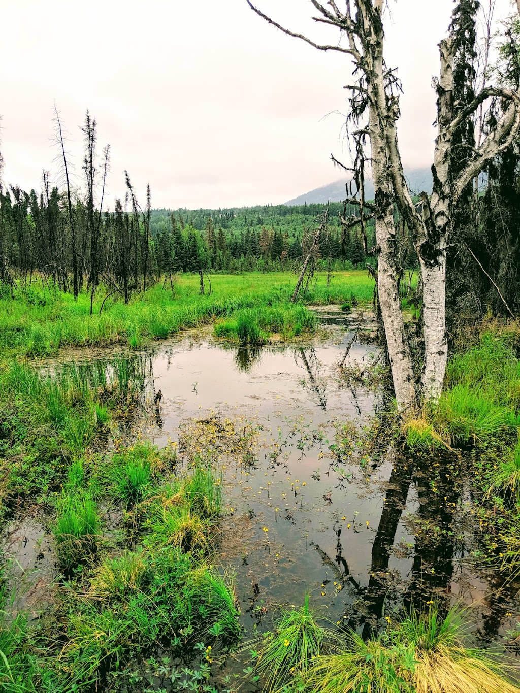 Briggs Bridge | Lower Eagle River Trail, Eagle River, AK 99577, USA | Phone: (907) 345-5014