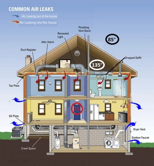 Albany Mold LLC | 133 Spring St 2nd fl, Albany, NY 12203, USA | Phone: (800) 727-0806