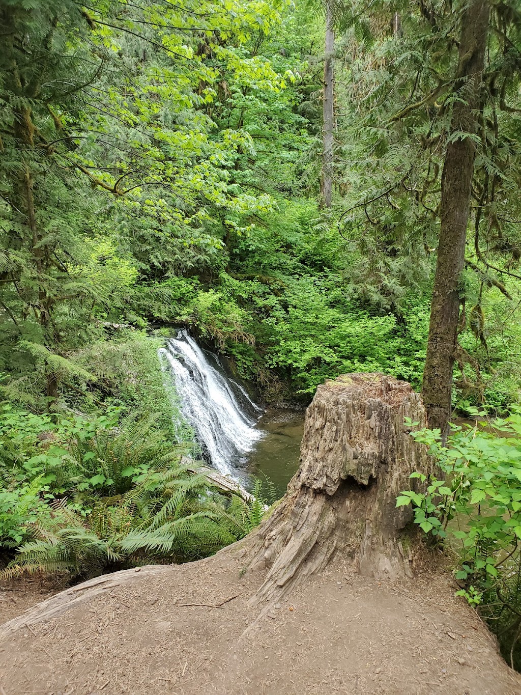 Cherry Creek Falls Trailhead | 16538 Kelly Rd NE, Duvall, WA 98019, USA | Phone: (206) 625-1367