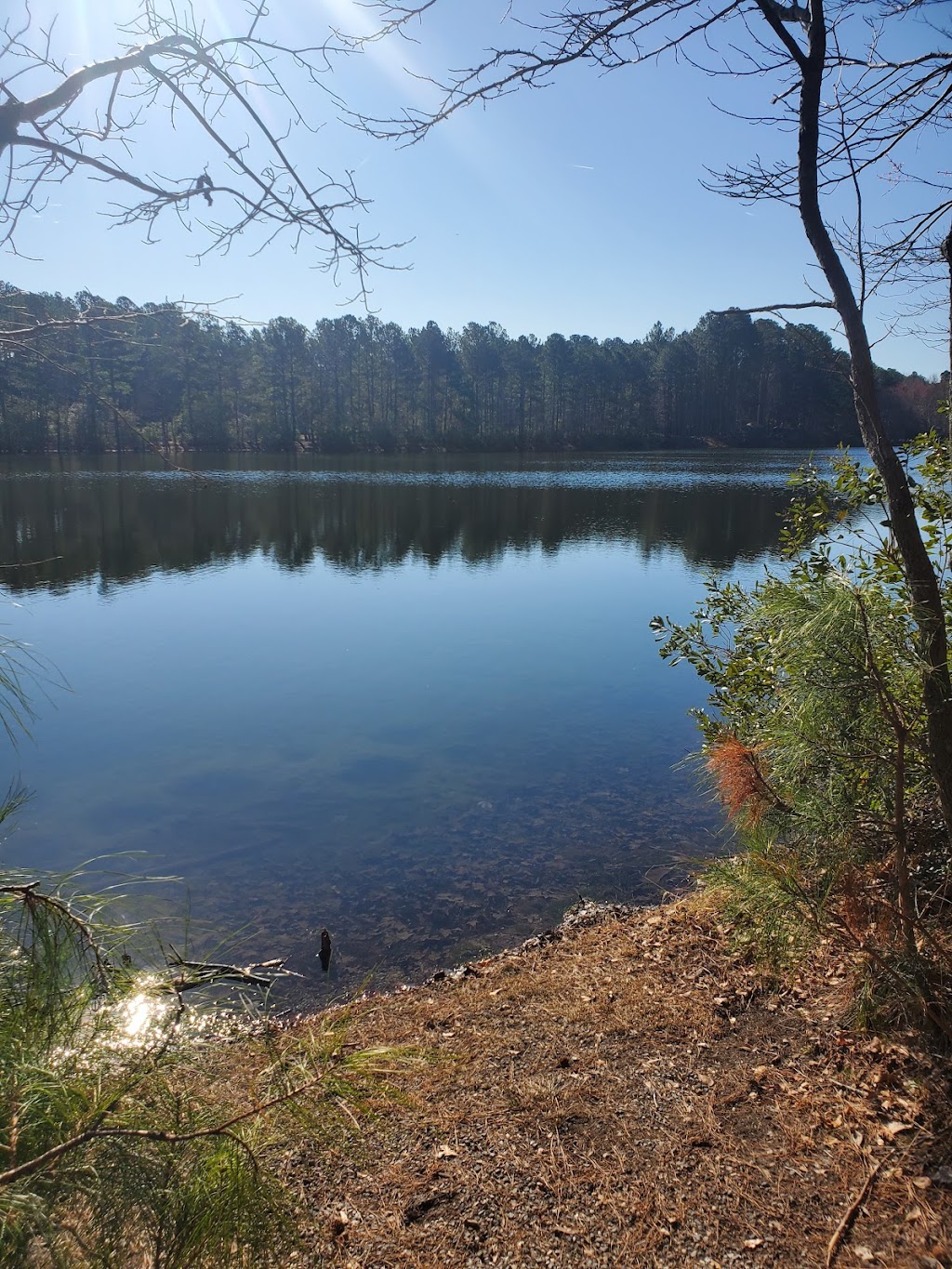 Sandy Bottom Nature Park | 1255 Big Bethel Rd, Hampton, VA 23669, USA | Phone: (757) 825-4657