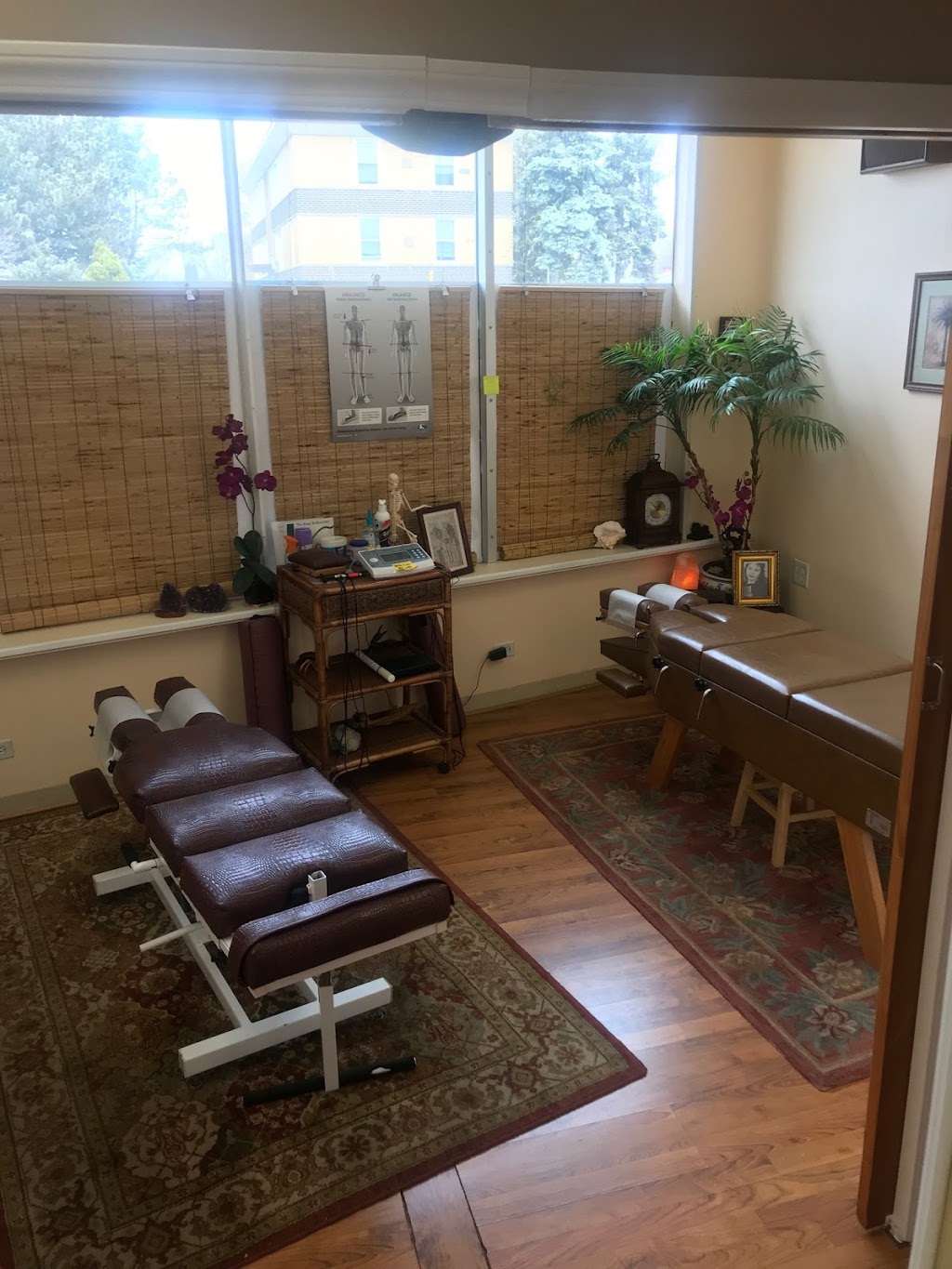 American Chiropractic Care | 8951 Cermak Rd, Riverside, IL 60546, USA | Phone: (708) 447-4800