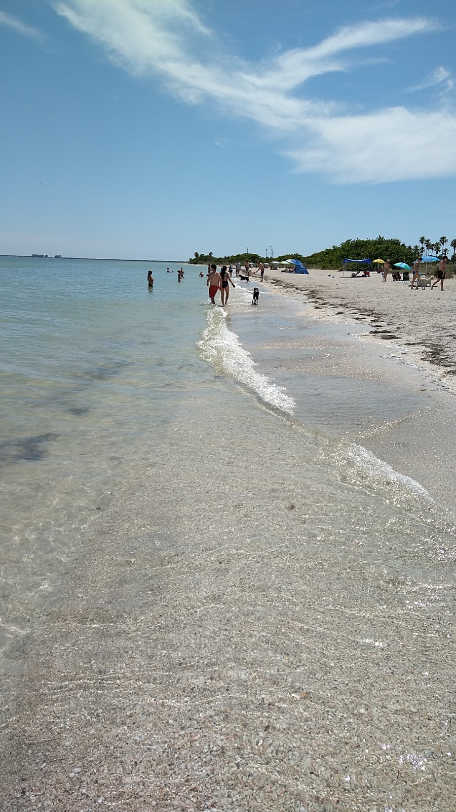 Fort De Soto Dog Park / Beach | St. Petersburg, FL 33715, USA | Phone: (727) 582-2267