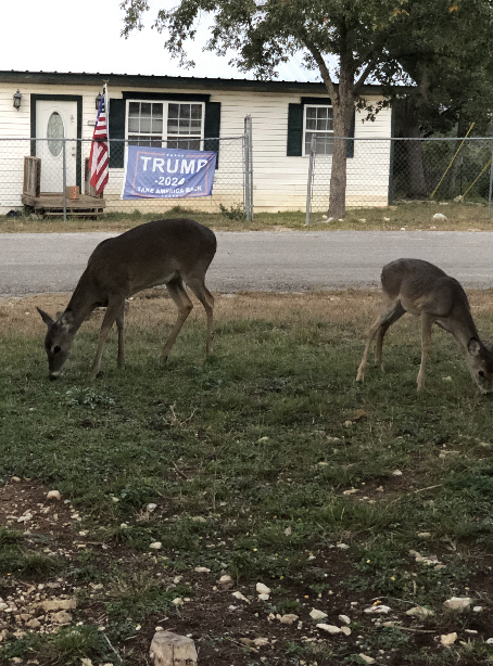 Jeff’s RV place | 263 Rockport, Canyon Lake, TX 78133, USA | Phone: (817) 235-6850