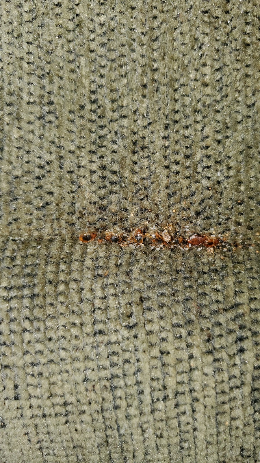 Blue Valley Pest Control | 403 S Walnut Ave, Milford, NE 68405, USA | Phone: (402) 761-2666