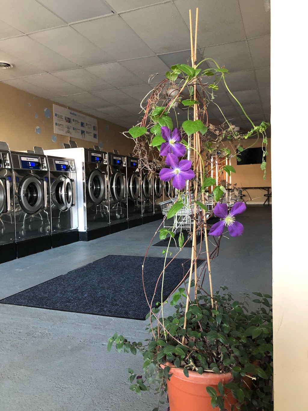 Clean Wave Laundromat | 429 Schuylkill Rd, Phoenixville, PA 19460, USA | Phone: (484) 924-9391