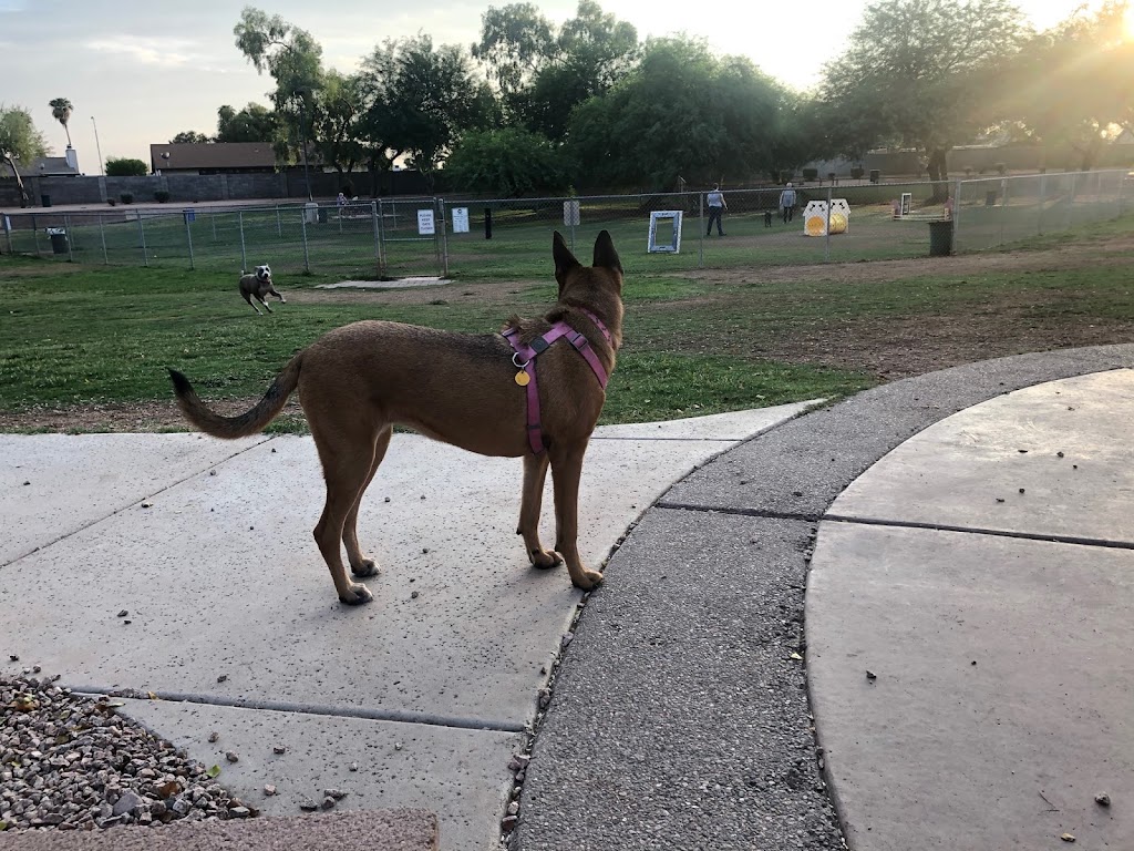 Shawnee Dog Park | 1400 W Mesquite St, Chandler, AZ 85224, USA | Phone: (480) 782-2727