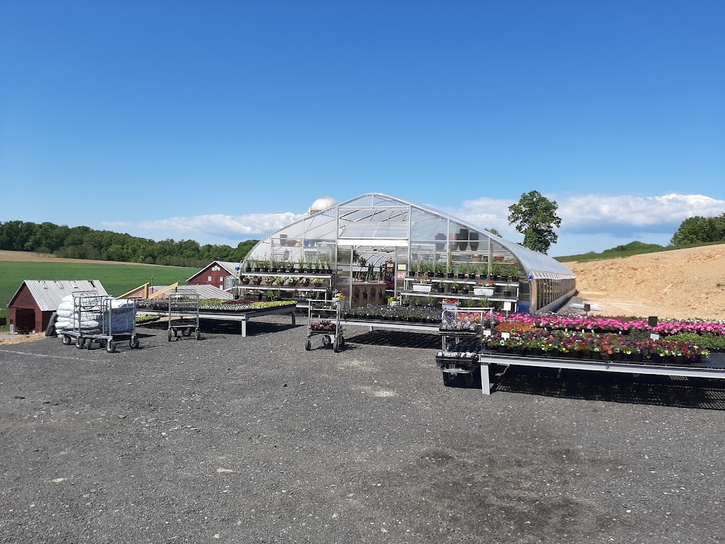 PennLand Greenhouse | 1365 Georgetown Rd, Littlestown, PA 17340 | Phone: (717) 898-1759