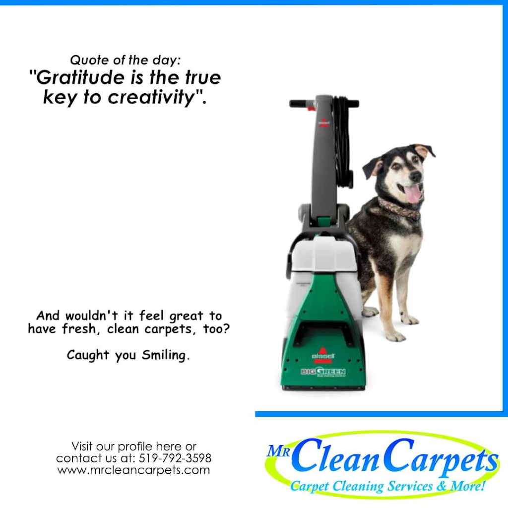 Mr CleanCarpets | 370 Fryer St, Amherstburg, ON N9V 2L9, Canada | Phone: (519) 792-3598