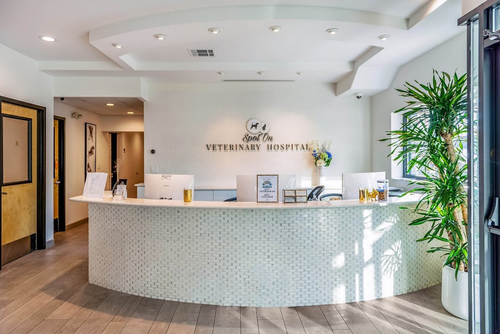 The Spot Costa Mesa | 1651 Placentia Ave, Costa Mesa, CA 92627, USA | Phone: (949) 891-4604