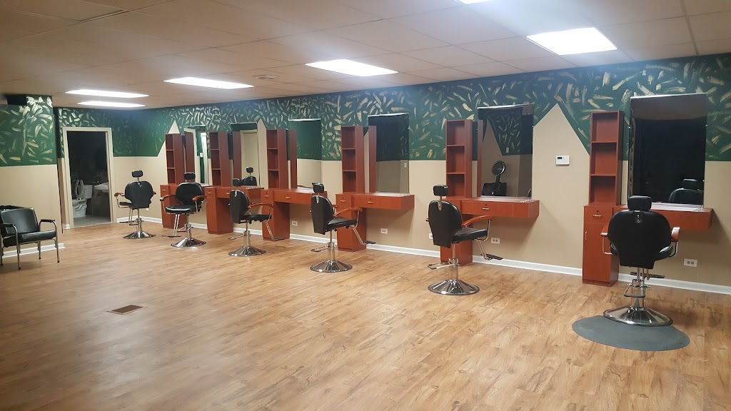 Luxury Salon | 3412 Chicago Rd, Steger, IL 60475, USA | Phone: (708) 898-0820