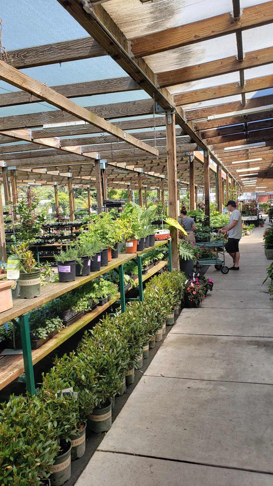 Sloat Garden Center | 1555 Kirker Pass Rd, Concord, CA 94521, USA | Phone: (925) 681-0550