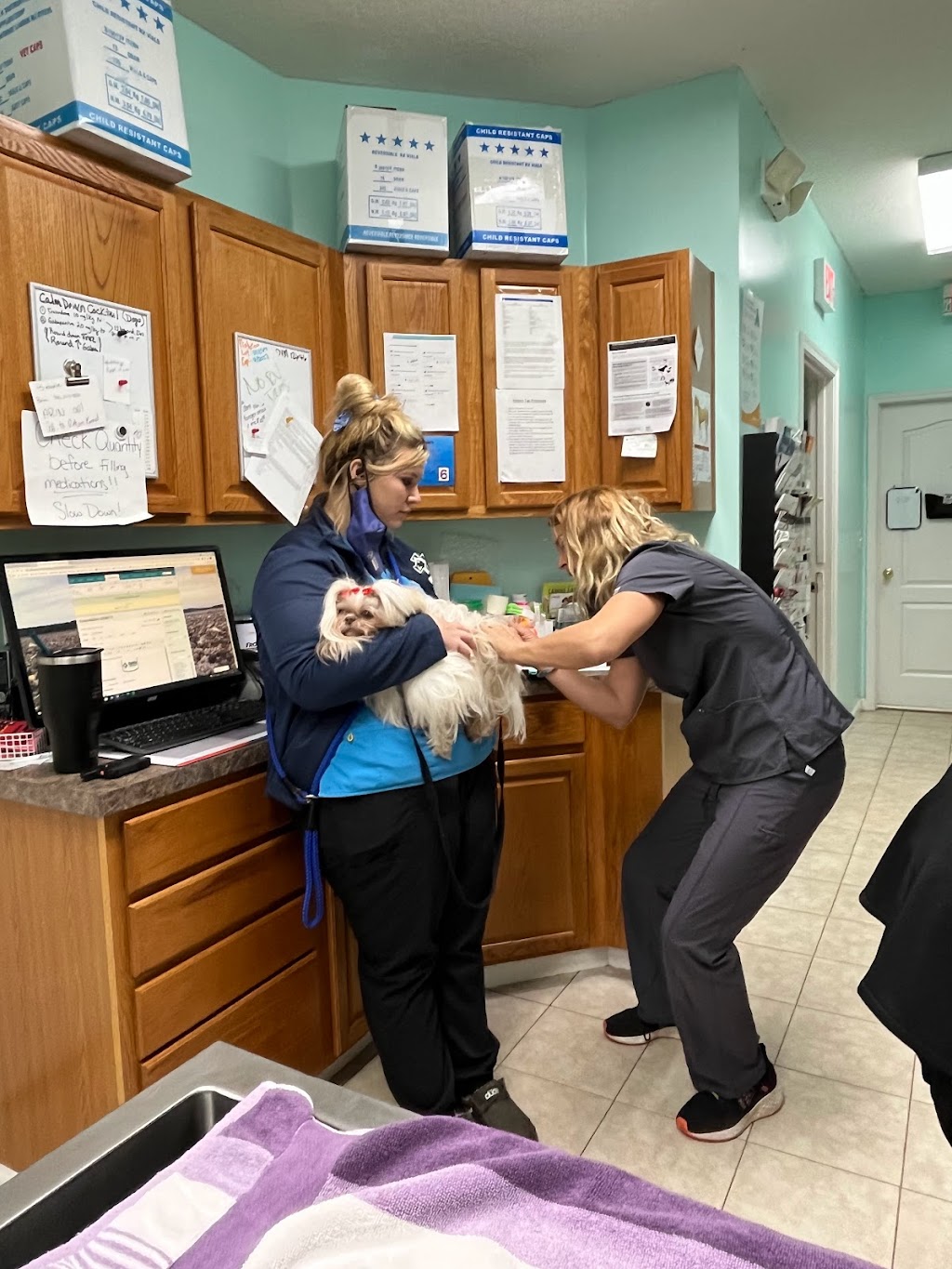 Marietta Animal Hospital | 8141 Ramona Blvd W, Jacksonville, FL 32221, USA | Phone: (904) 783-2574