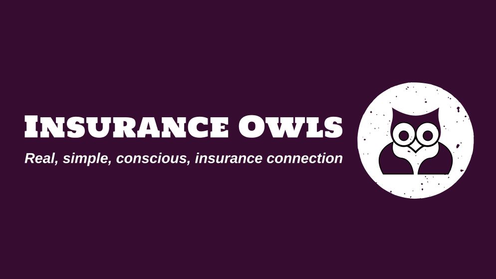 InsuranceOwls | 2017 Hickory Dr, Little Elm, TX 75068, USA | Phone: (469) 750-0668