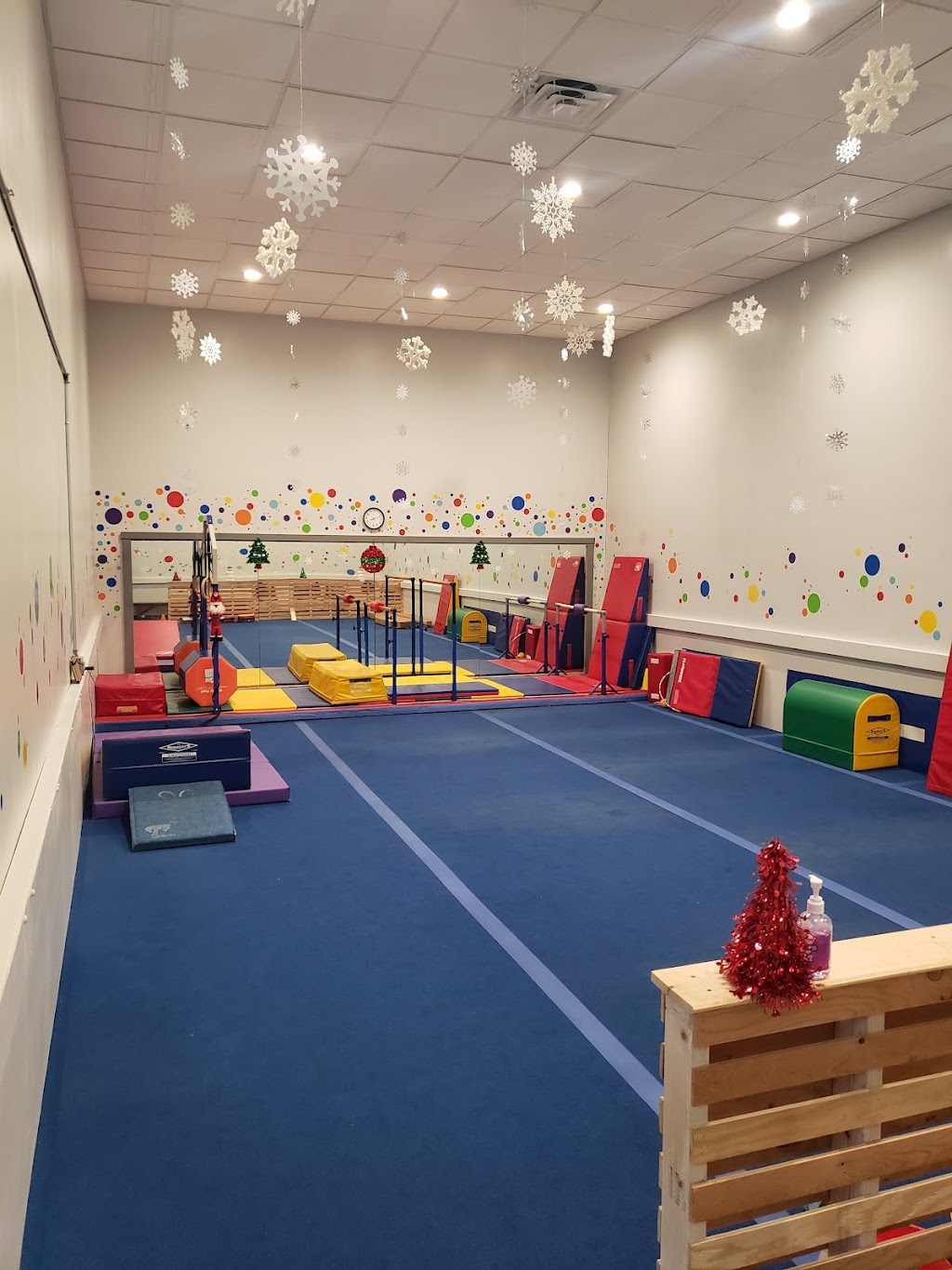 Youngstown Gymnastics Center | 5500 Market St, Youngstown, OH 44512, USA | Phone: (330) 782-5629